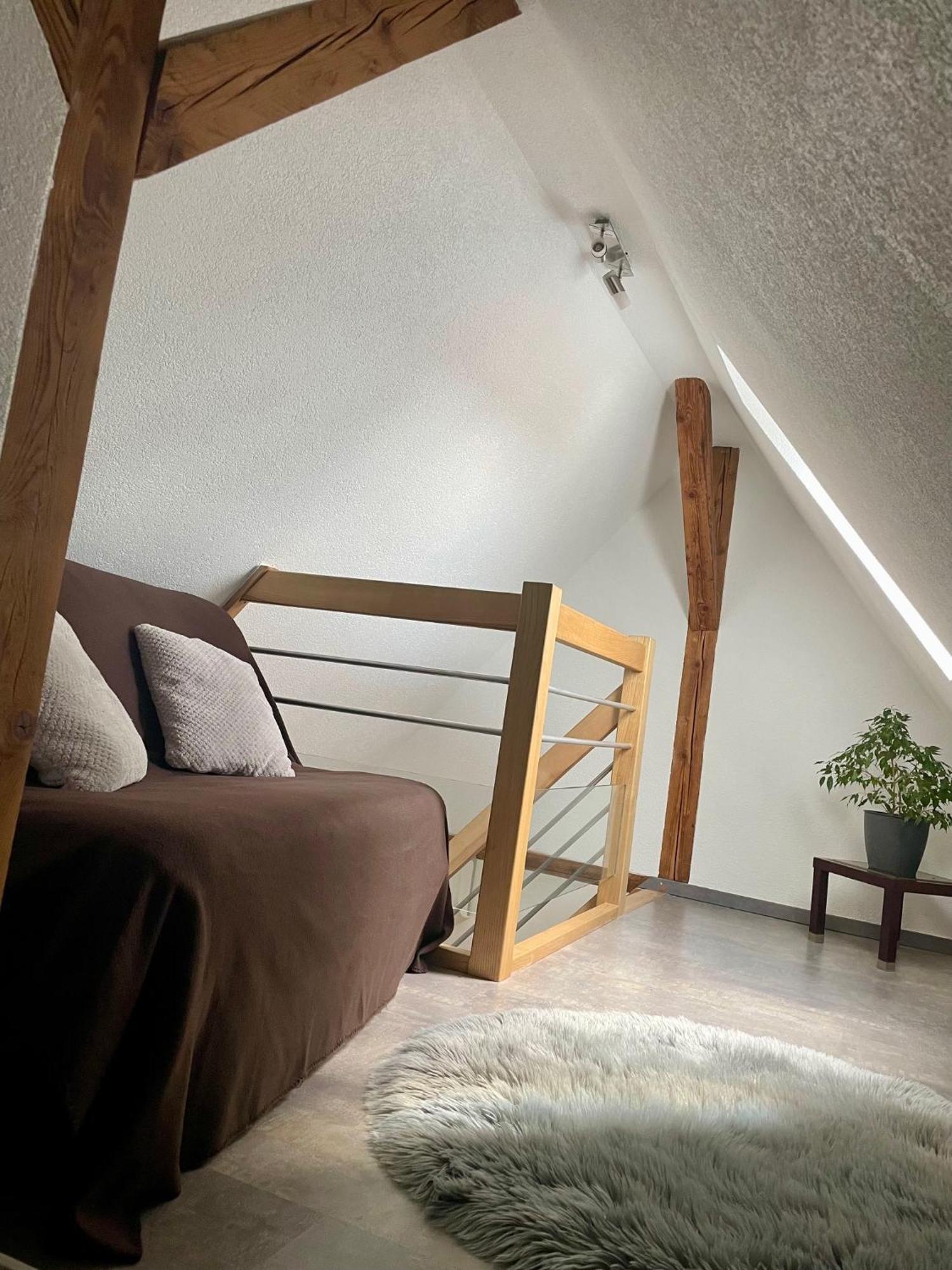 Chez L En Alsace Maison Independante 8 Pers Jardin & Cour Privative Griesheim-près-Molsheim Екстериор снимка